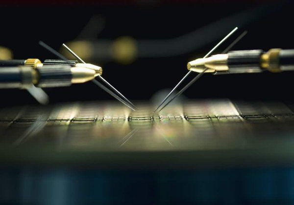 Comment produire des micro-pousses de manière biologique en appartement ?